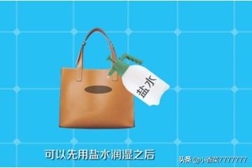 皮包上的污渍怎么去除(图2)
