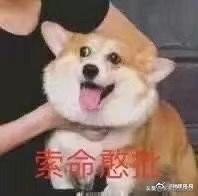 人瘦了会变漂亮吗,第4张