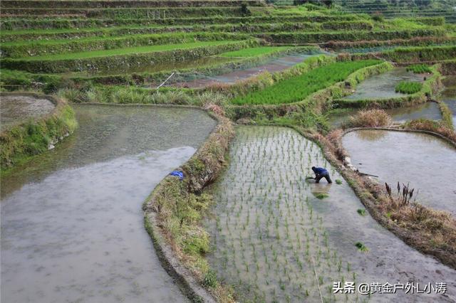 金谷粮食网玉米价格（204年6月价格表）