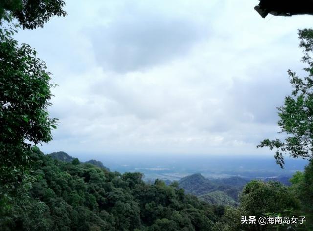 青城山旅游攻略-青城山旅游攻略一日游