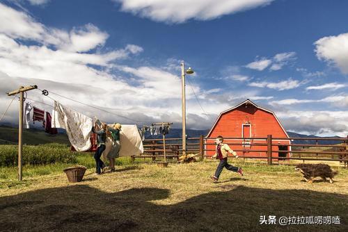 有什么电影里面风景特别好