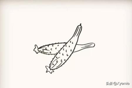 少儿蔬菜简笔画黄瓜怎么画?