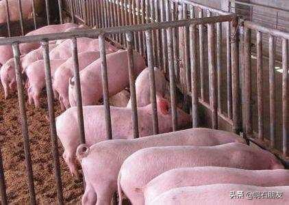猪粪肥水不会污染水质吗？