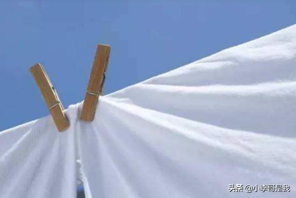 床上有小飞虫怎么去除(图2)