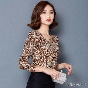 旅游博士穿搭推荐， 旅游博士穿搭推荐女