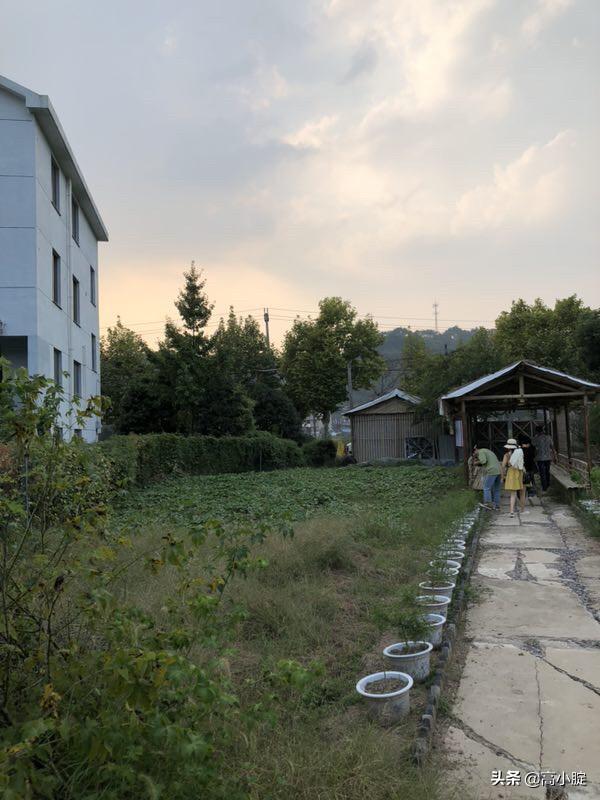 大学生想旅游没钱怎么办,大学生想旅游没钱怎么办呢