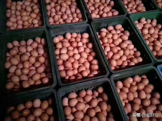 饲料存量最高多少-饲料存量最高多少吨