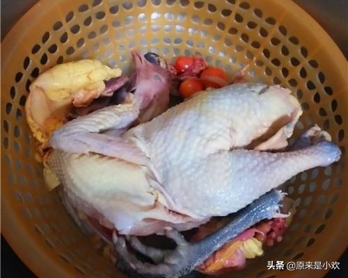 炖鸡肉做法大全家常菜（生煮鸡肉做法？）