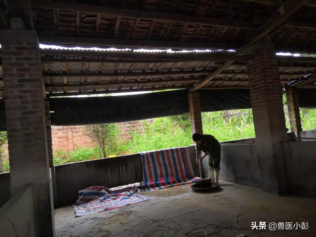 贵州省大型养猪场有多少家企业 养猪的猪圈要造在我家门口怎么办？