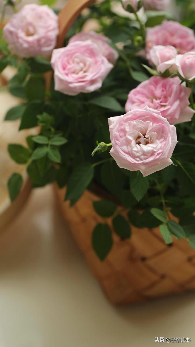 夸父逐日讲了一个怎样的故事