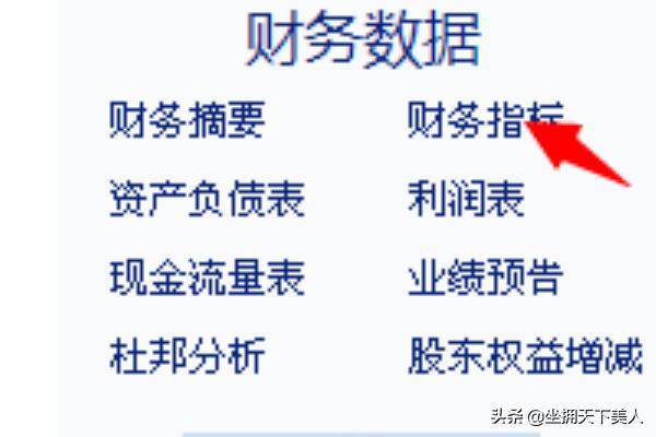 什么是财务指标啊？财务指标指的是什么