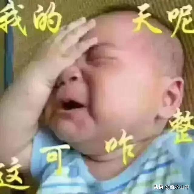 穿成男配他前妻_穿成男配他前妻讲的什么
