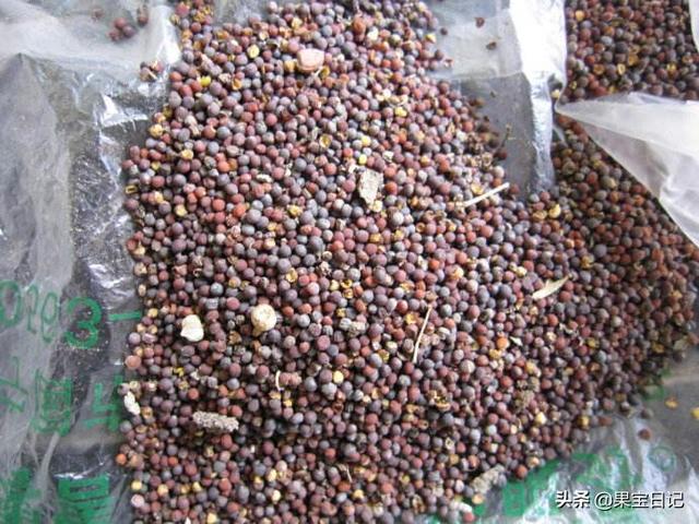 青萝卜-青萝卜的功效与作用