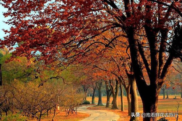 曲周附近旅游景点，曲周附近旅游景点有哪些