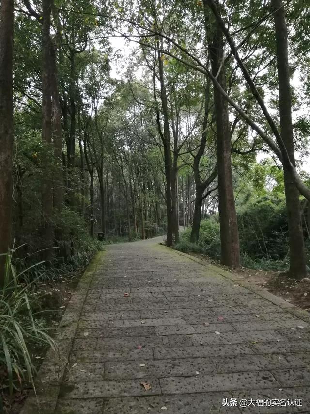 脾气不好的男人能嫁吗(图2)