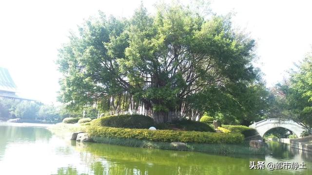 春节去南方哪里旅游比较好,春节去南方哪里旅游比较好便宜又好玩