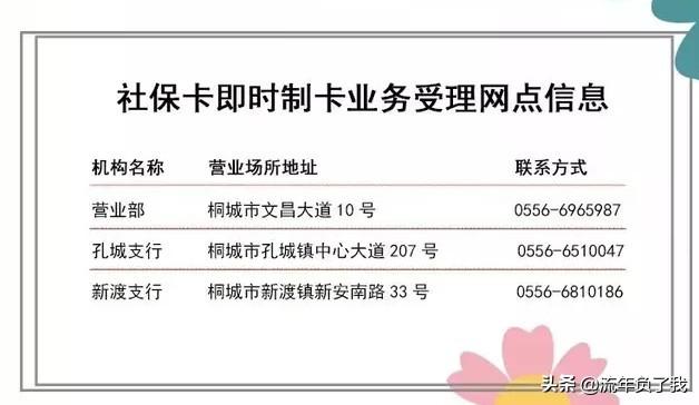 桐城如何申请大龄社保补贴的(桐城社保养老金能拿多少)