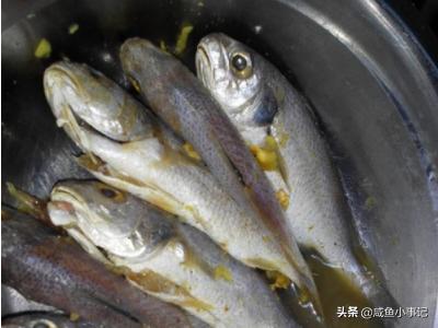 干炸小黄鱼的做法（干炸黄花鱼的做法？）
