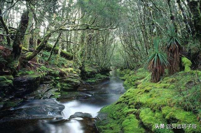澳大利亚旅游景点，澳大利亚旅游景点排名前十