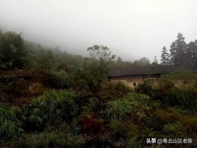 专业牛舍搭建网站