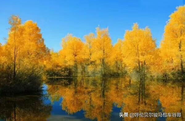 半拉山自驾游路线，半拉山自驾游路线攻略