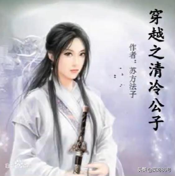 穿越之清冷公子（穿越之清冷公子女扮男装）
