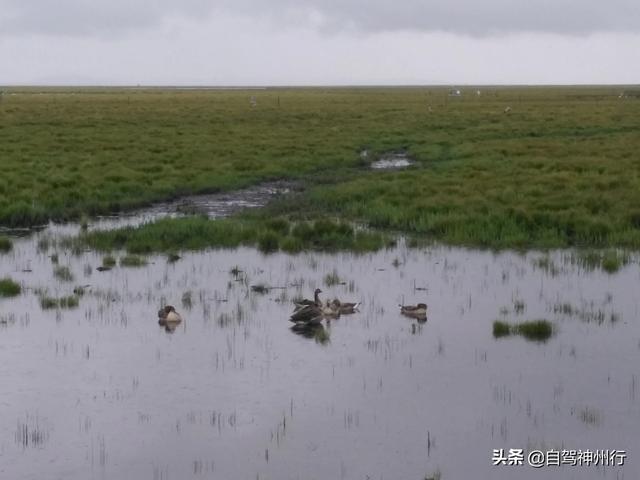 [情侣旅游分手的地方]哪个地方最适合分手旅行？