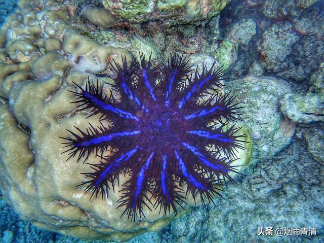 马代浮潜好的岛