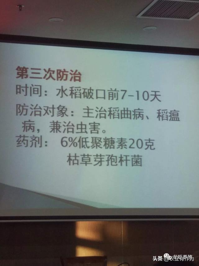 农业养殖小龙虾稻谷鱼，农业养殖小龙虾稻谷鱼怎么养