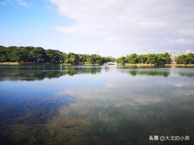 涉县春天旅游景点大全介绍， 涉县春天旅游景点大全介绍图片