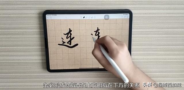 环草书字体