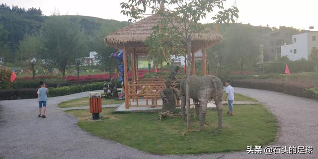 篮球运动员一般受什么样的伤就可能导致运动生涯结束,第2张