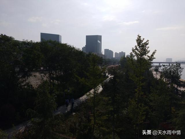 甘谷生猪价格-甘谷生猪价格最新行情