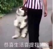 鼻炎是怎么形成的(图2)