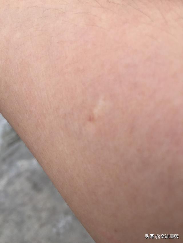 小狗狗不肯吃饭，怎么办好呢,第2张