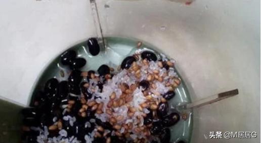 黑豆豆浆-黑豆豆浆的营养与功效