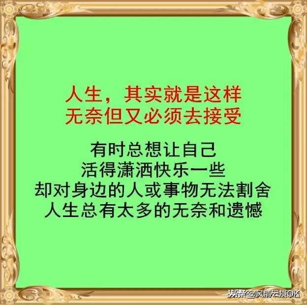 厚脸皮的养殖方法?厚脸皮的养殖方法和注意事项!