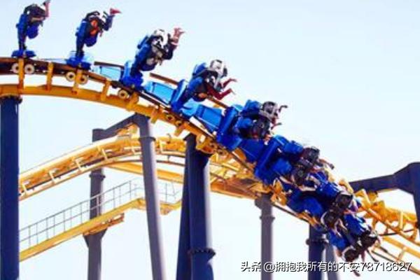 天津哪个公园有的小鸟拍