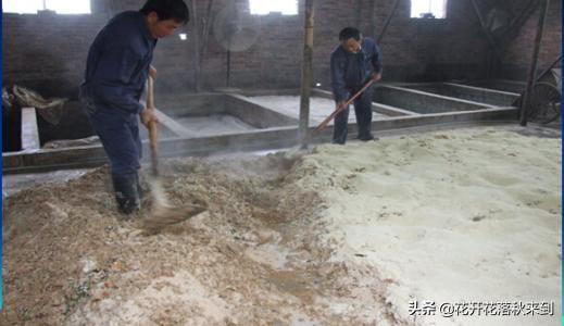 用鸡饲料喂猪利与弊-用鸡饲料喂猪利与弊分析