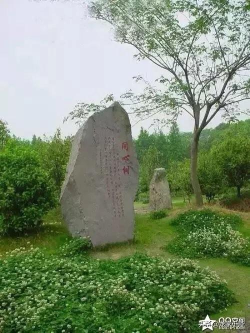 甜蜜的人生电影女主角的结局