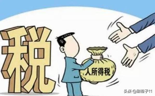 个人独资企业税收政策，个人独资企业税收政策2023一般纳税人认定