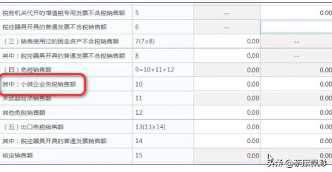 小规模纳税人怎么申报，小规模纳税人怎么申报纳税