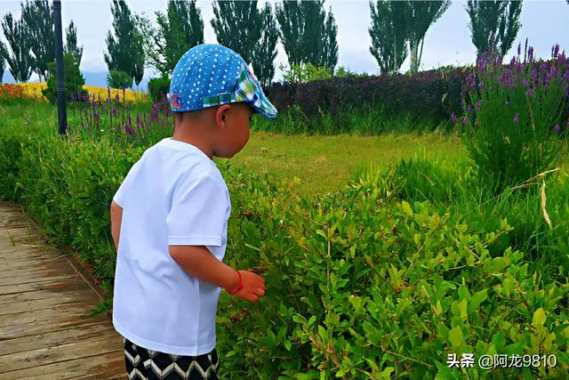 张掖嘉峪关旅游路线攻略， 张掖嘉峪关旅游路线攻略图