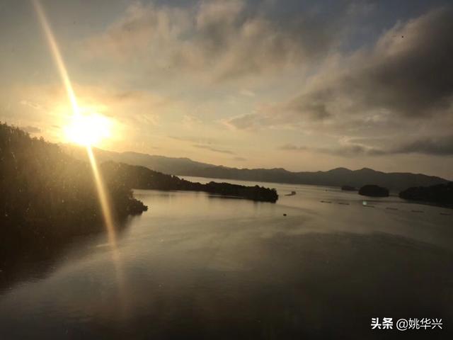 逃离人类 逃离人类计划-第1张图片-春华游戏网