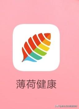 减肥计划软件-专门做减脂餐的app？