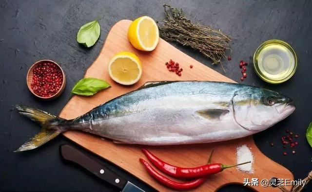 海魚圖片大全?海魚圖片大全及名稱!