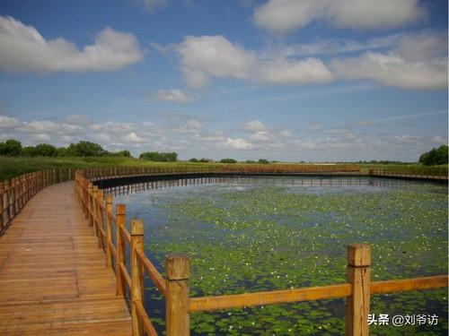 七台河市桃山区纸飞机账号购买渠道