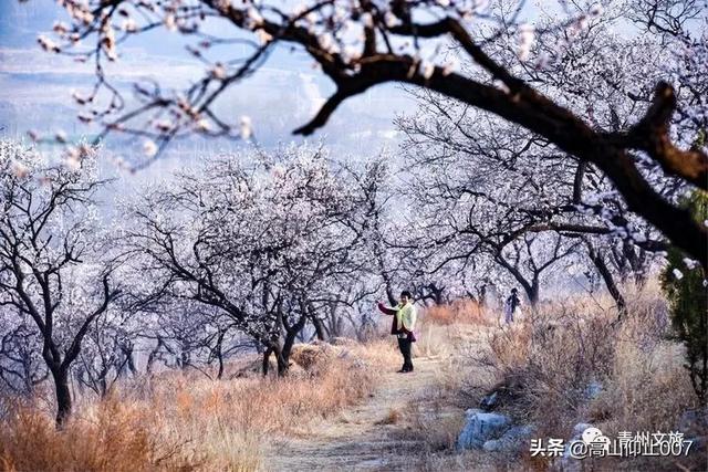 出门旅游攻略怎么做 多少钱一次 国外的,出门旅游攻略怎么做 多少钱一次 国外的