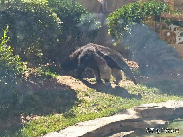 东兰飞海外生活，东兰飞海外生活馆是正品吗