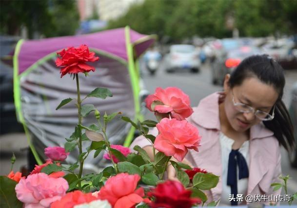 花卉销售书籍入门知识，花卉销售书籍入门知识点